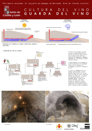 Patrimonio Excavado - El Conjunto de Bodejas de Baltanás, Bien de Interés Cultural